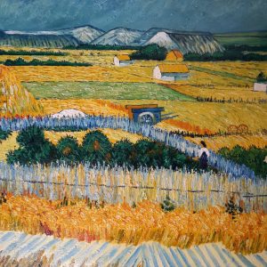 Vincent Van Gogh - La pianura della Crau 1888 - 50x60